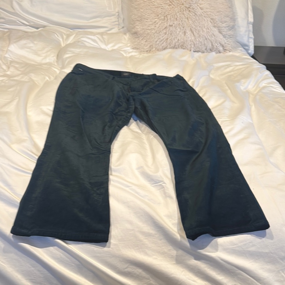 Citizens Of Humanity Dark Teal velvet cropped pants